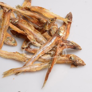 القط الأسماك الجافة قسط يعامل غنية في نكهة غنية في التغذية حار بيع القط يعامل الجملة عالية البروتين المجففة الغذاء الحيوانات الأليفة - Product Image 4