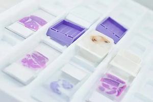 生体組織パラフィン包接機組織病理学生物実験室機械 - Product Image 3