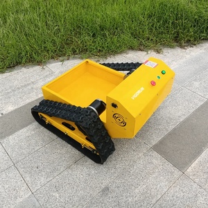 Nutzlast 300kg Wirtschaft lich 4 Erweiterter steuerbarer Kanal RC Tracked Robot Base - Product Image 4