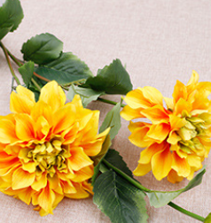 สีเหลือง