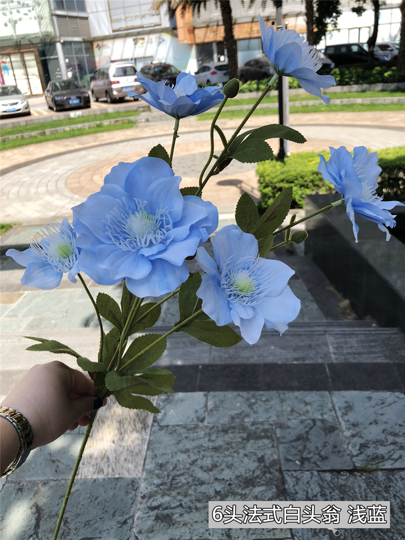 9 blue flowers