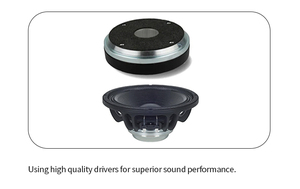 HLA Professional <span class=keywords><strong>Active</strong></span> Subwoofer 18-Zoll-Lautsprecher Einzelner 18-Zoll-Woofer-Lautsprecher Subwoofer-Soundsystem
