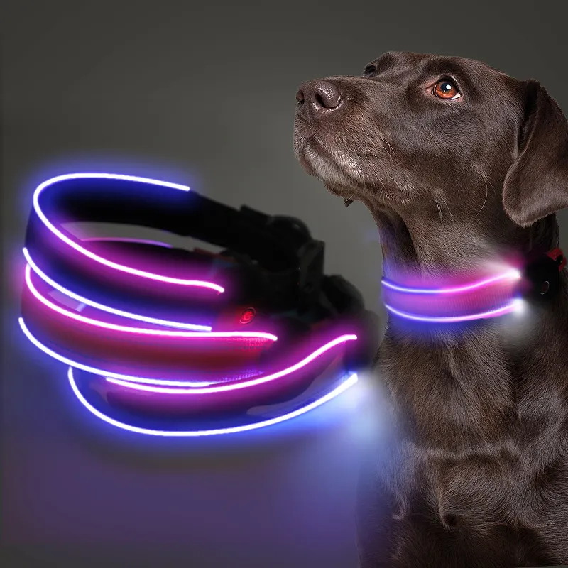 طوق كلب مضيء بإضاءة ليد مزود بمنفذ USB قابل للشحن تصميم مخصص مقاوم للماء آمن ليلًا مضيء ويمض في الظلام طوق كلب مضيء