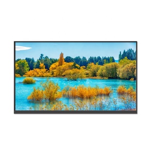 Módulo de pantalla TFT LCD de 13,3 pulgadas con resolución de 1920*1080 y interfaz RGB de 250 brillo Modelo - Product Image 1