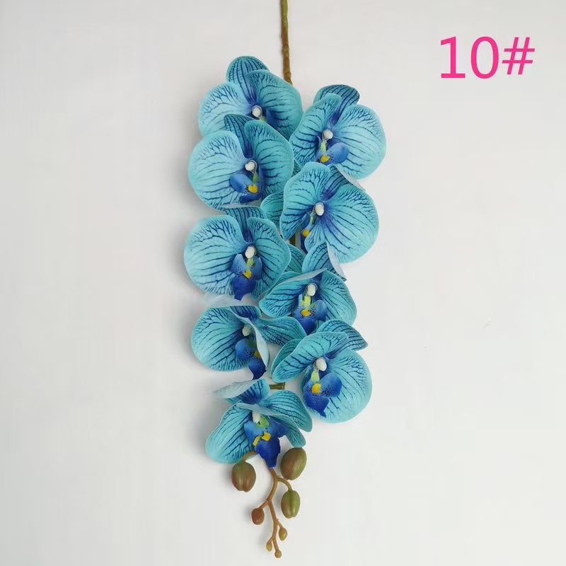Color 10