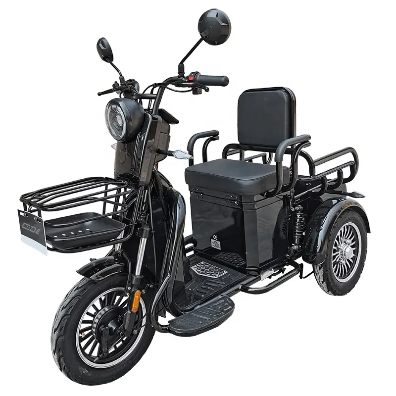 EEC-triciclo eléctrico de 3 ruedas, motor de 500W, batería de 48V20Ah, gran potencia