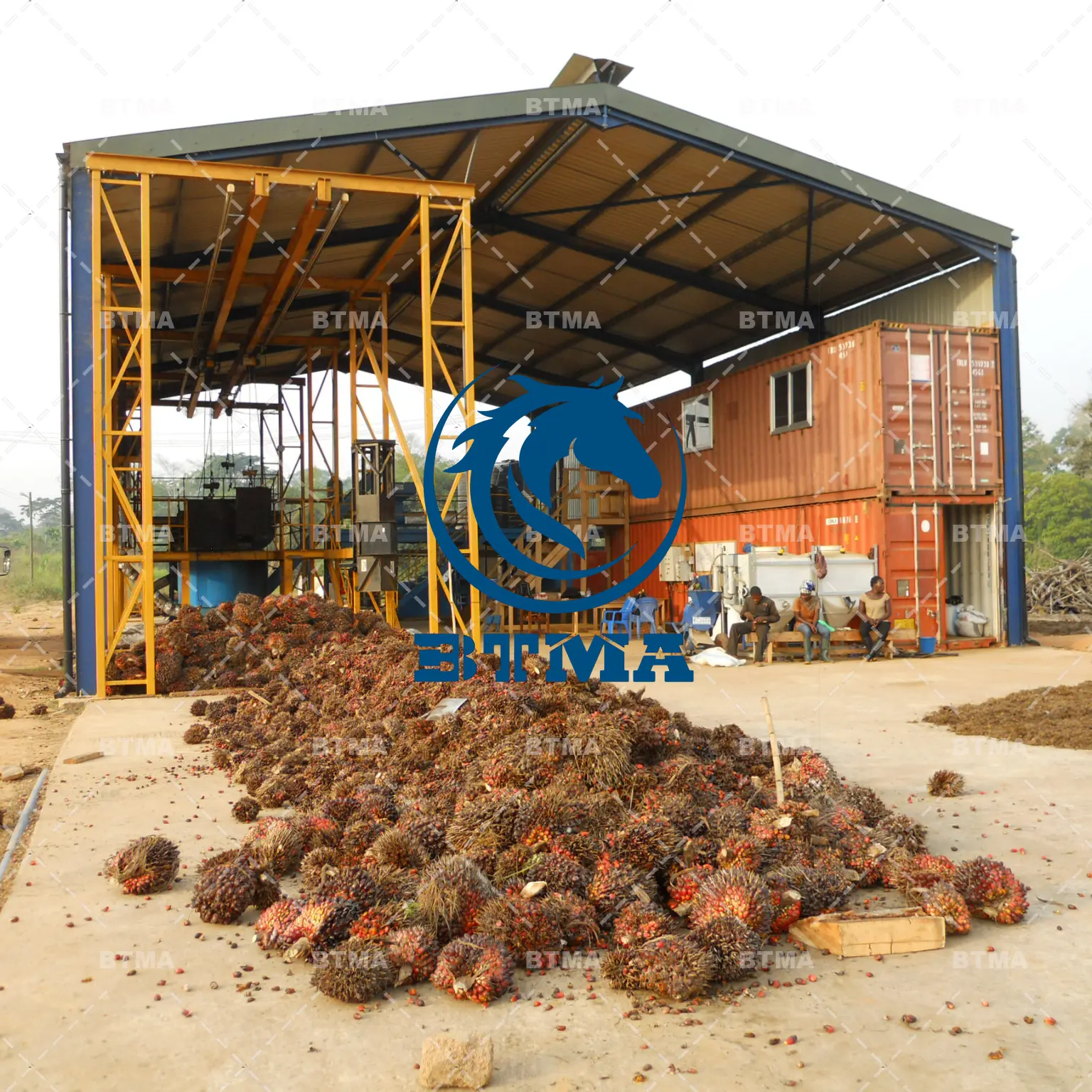 Machine à presser l'huile de palme de 1 à 2 t/h, ligne de machines de traitement de l'huile de palme à vendre à chaud pour l'Indonésie et le Nigeria