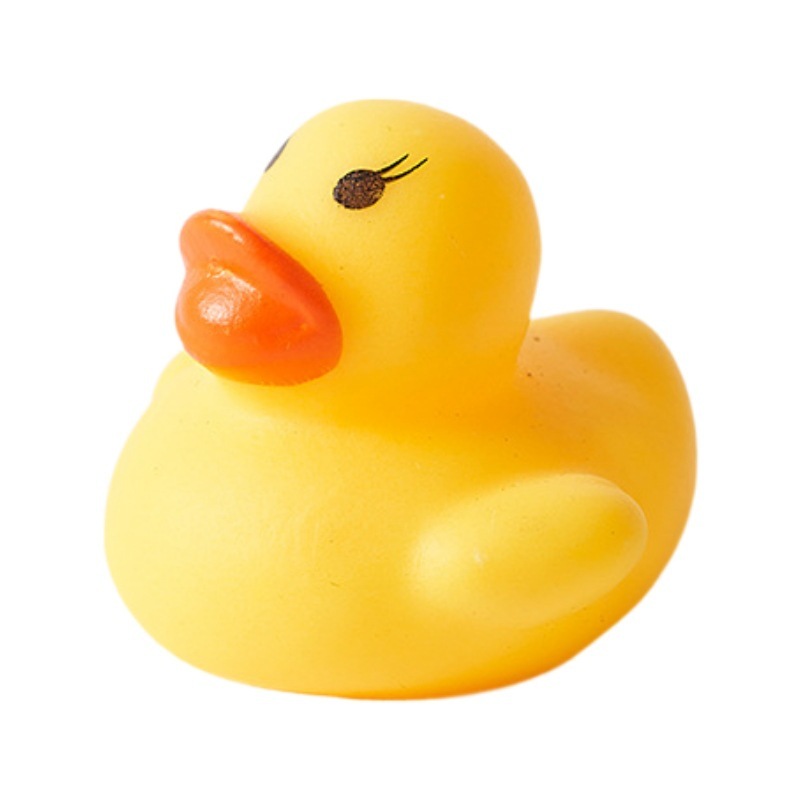 Petit canard