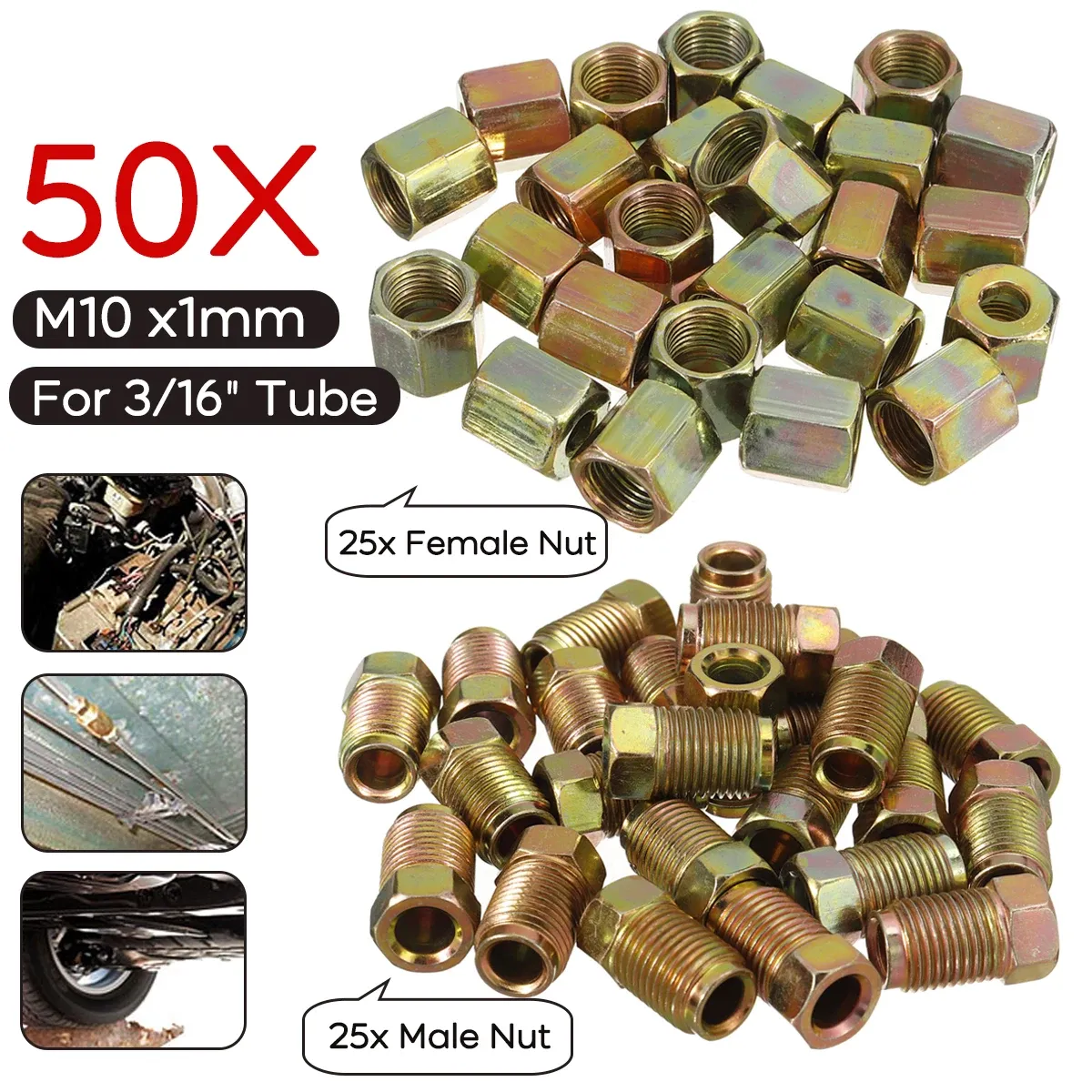 50 pièces Femelle Mâle