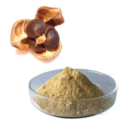 Extrato de sinensis de camélia 8047-15-2, extrato de sementes de chá 90%, saponina em pó