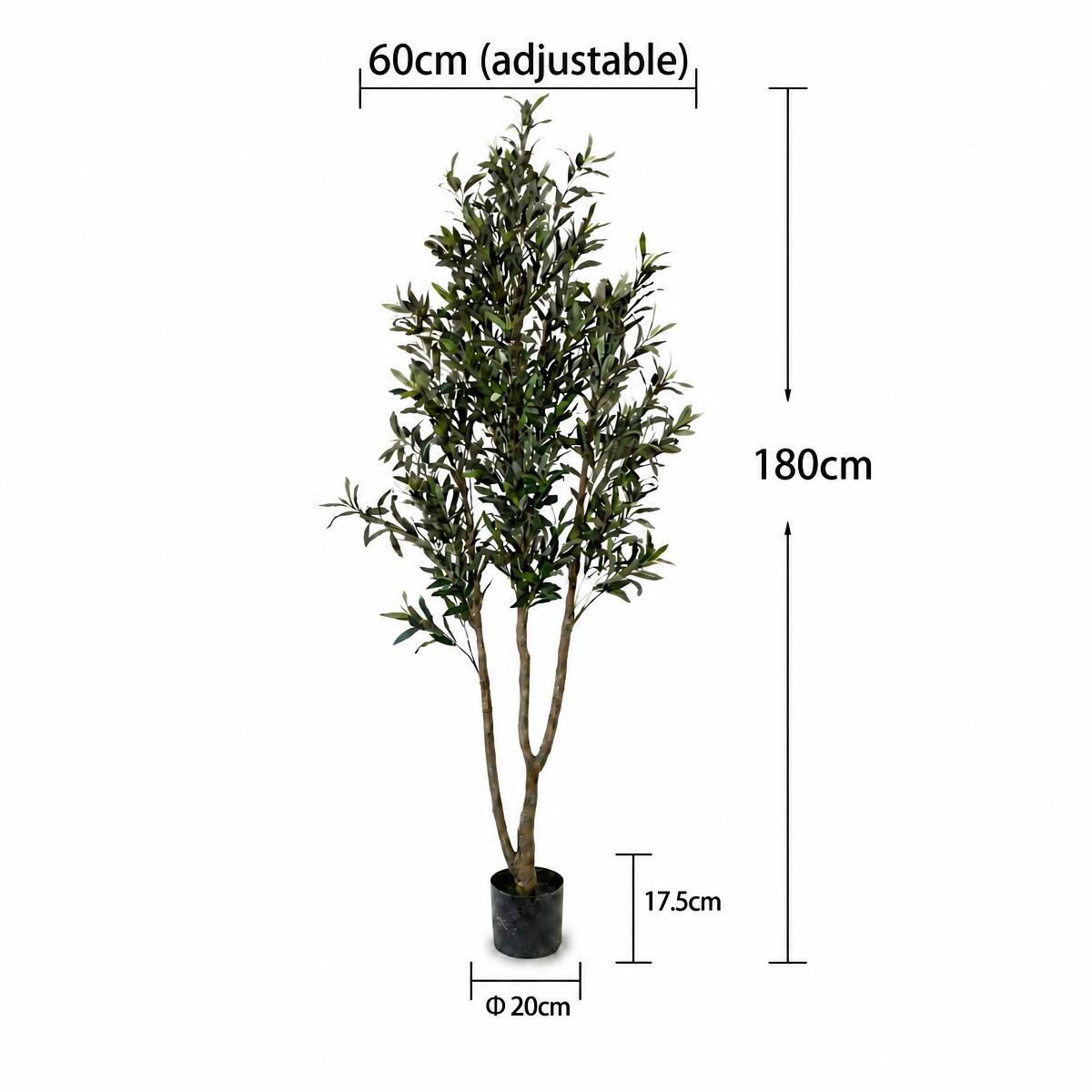 180cm vert