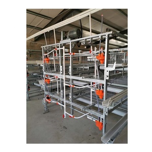 A Type <strong>Chicken</strong> Layer Cage for Poultry Farming <strong>3</strong>/4 Tiers with 96/128 Capacity New Home Use Automatic <strong>Chicken</strong> Cages - Product Image 5