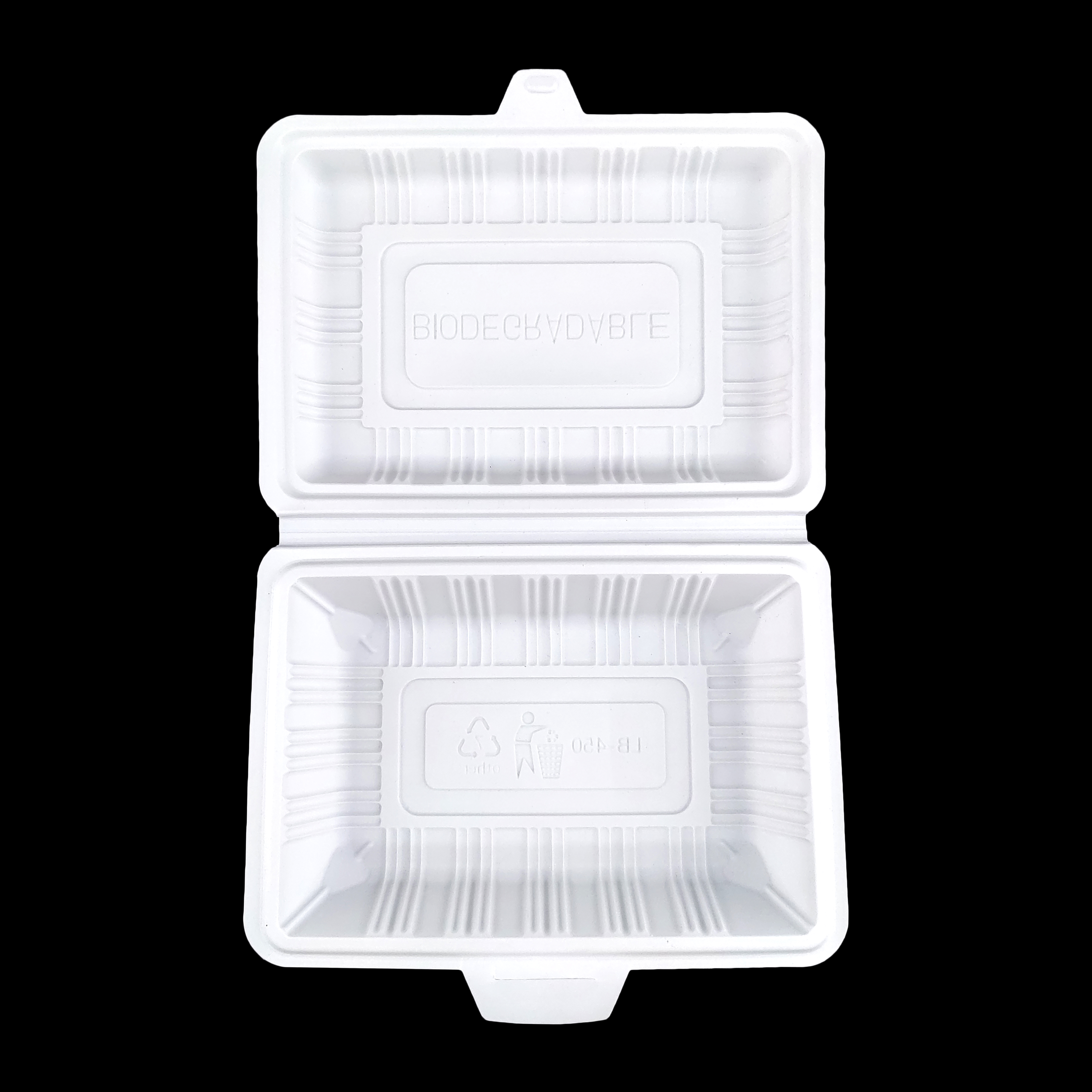 7 x 5 pouces