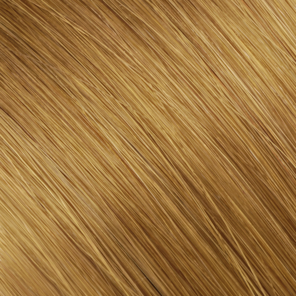 C6-Hazelnut(25 pcs/pack)