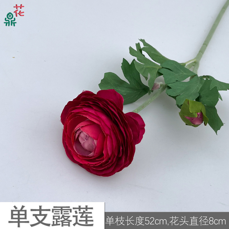 Bouteille unique de Delon SC rose rouge