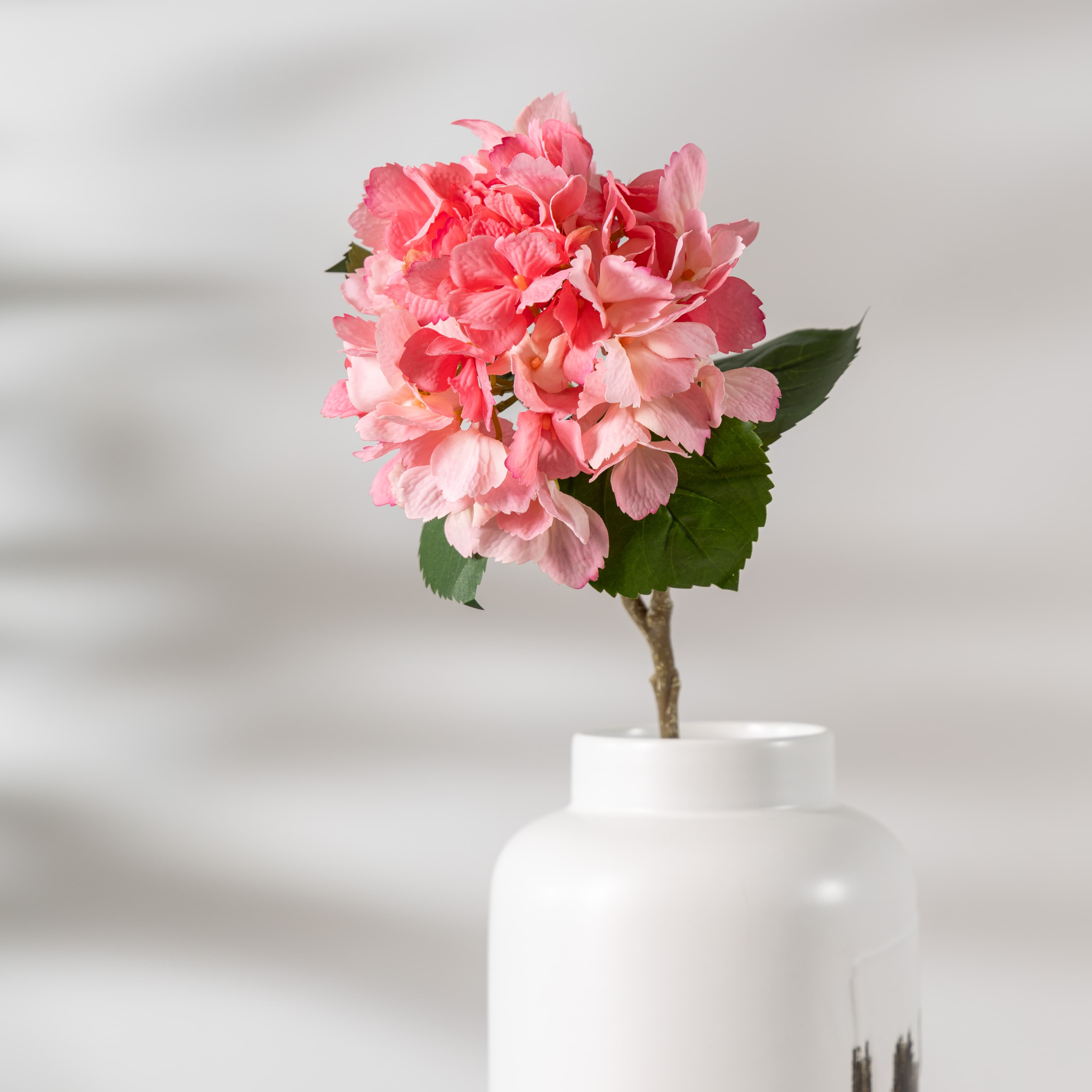 Rose profond