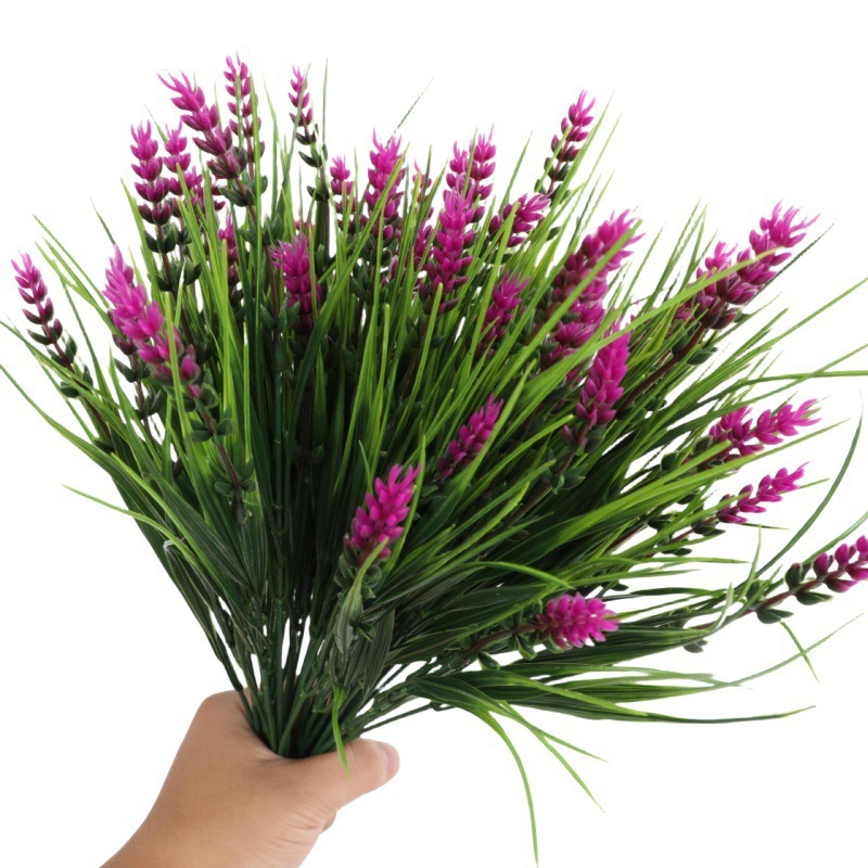Pourpre