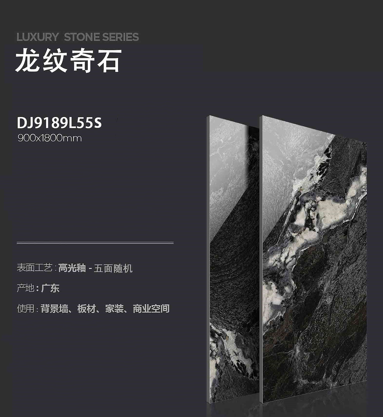 DJ9189L55S