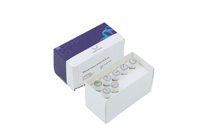İnsan Telomere uzunluk ölçümü QPCR test kiti (göreceli), araştırma kullanımı için yüksek kalite - Product Image 4