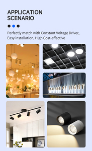 ชิป LED สำหรับไฟดาวน์ไลท์แรงดันคงที่แบบ1310ไฟ LED 24V 5W สีสารเรืองแสงที่กำหนดเอง - Product Image 6