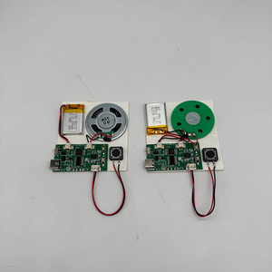 Большая память 8 МБ кнопка записи пользовательских USB программируемый модуль записи голосовой музыки чип для поздравительных открыток и подарков - Product Image 1