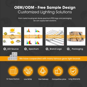 Kunden spezifische hydro po nische programmier bare LED mit Fernbedienung, UV Ir Grow Light Supplemental - Product Image 5