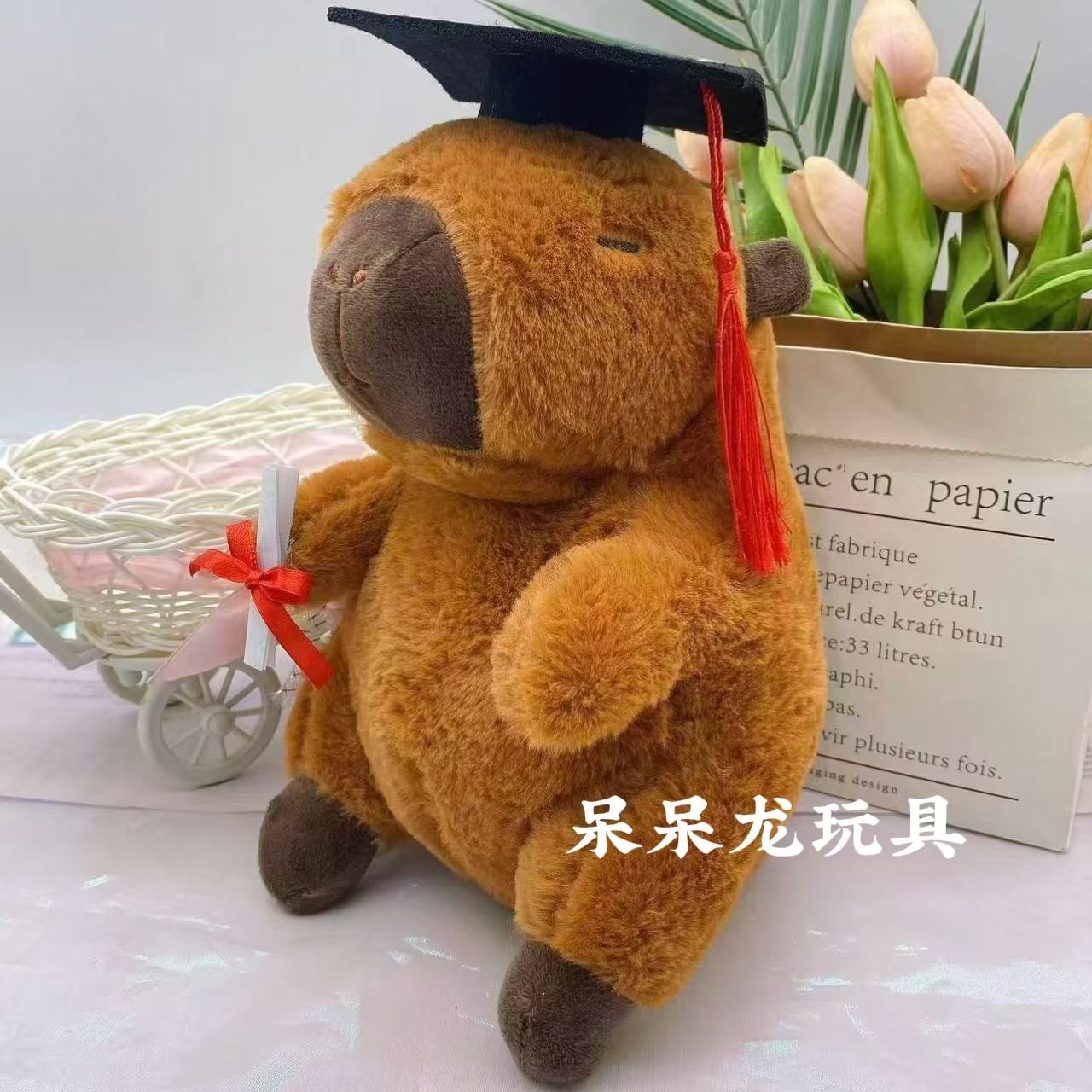 Docteur Capybara