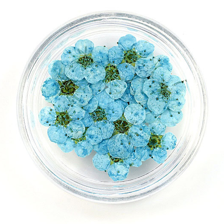 Turquoise 100pcs/box