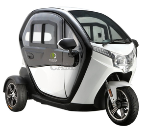 2022 Eec Coc L2e认证新生产电动三轮车2成人城市使用3三轮电动车