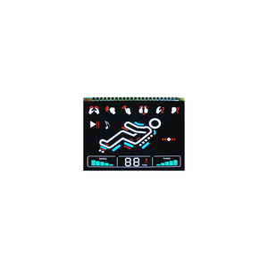 Zeigt Beschilderung und Opto elektronik Lcd Reflective Polar izer Segment code LCD-Anzeige HTN VATN VA TN BTN Farbbild schirm modul an - Product Image 5