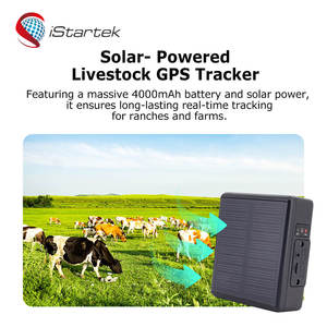 世界上最小的磁性汽车gsm sim卡定位间谍实时gsm/gprs/全球定位系统跟踪设备全球定位系统迷你跟踪器 - Product Image 4