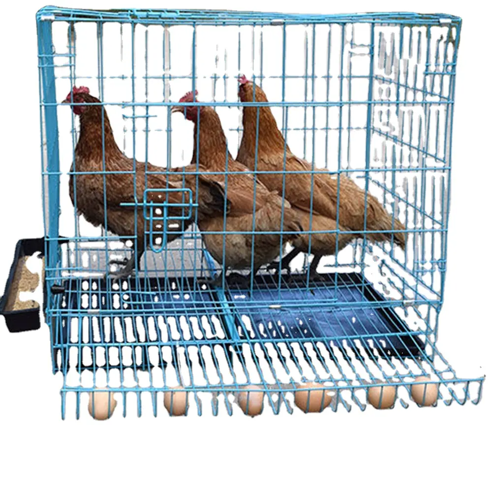 Jaula de metal para pollos, jaula plegable para pollos, venta al por mayor