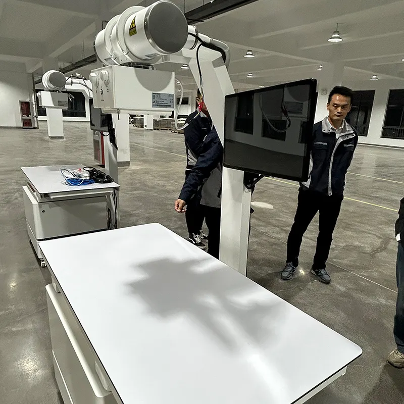 EUR VET Máquina DE RAYOS X de radiografía digital profesional con detector de panel plano Precio
