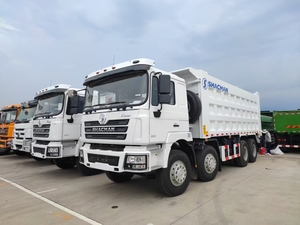 Shacman F3000 35т погрузчик-самосвал 6WD, шасси WP12, двигатель евро 2, быстрая коробка передач, круиз-контроль, новый - Product Image 6