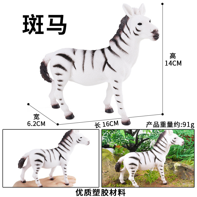 HFM cava Zebra