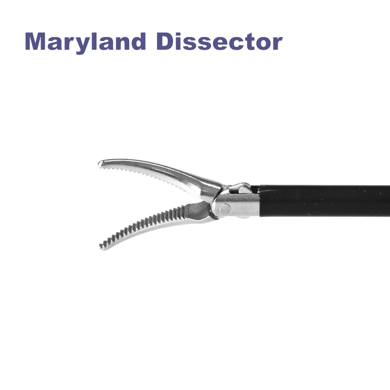 Maryland