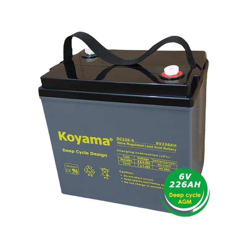 T105 226AH 6V AGM Deep Cycle Lead Acid Battery for Golf Carts Utility Vehicles and Electric Wheelchairs