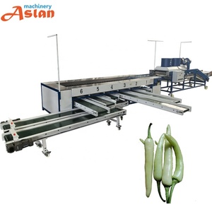 Máquina clasificadora de tamaño de zanahoria, pepino, chile, tomate, patata, máquina de calibración - Product Image 1