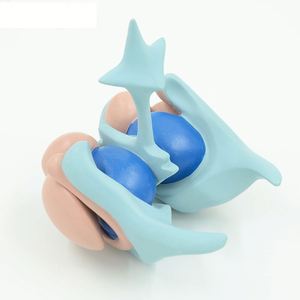 Kyrenmed mô hình hạt nhân cơ bản não người não thất não & Mô hình hạt nhân cơ bản - Product Image 4