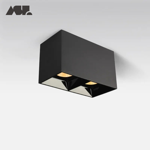 Zhongshan Aisilan kare çift kafaları aydınlatma led tavan aşağı ışıkları COB led downlight - Product Image 2