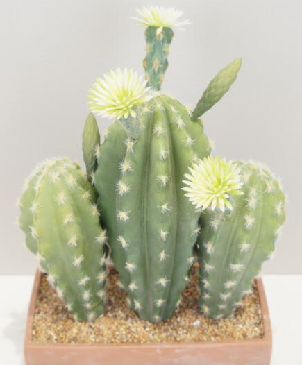 Verde chiaro