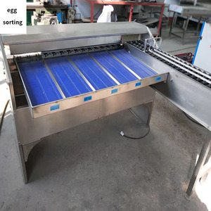 Máquina clasificadora automática de huevos de pato de alta eficiencia/Clasificador de huevos de 10000 piezas por hora/máquina clasificadora electrónica de huevos - Product Image 5