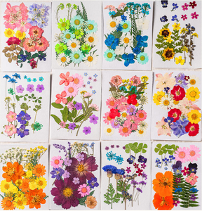 20-26pcs/pack Pressed Dried <strong>Flowers</strong> for Resin Mix Packs Series Scrapbooking Epoxy Resin Natural Plant - Product Image 2