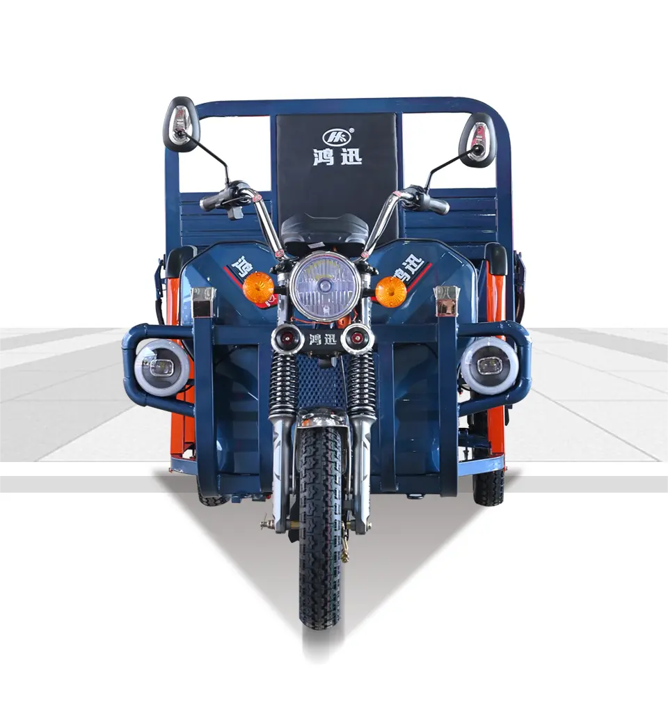 Vente chaude Tricycles électriques Cargo Truck Tricycle à grandes roues pour adultes