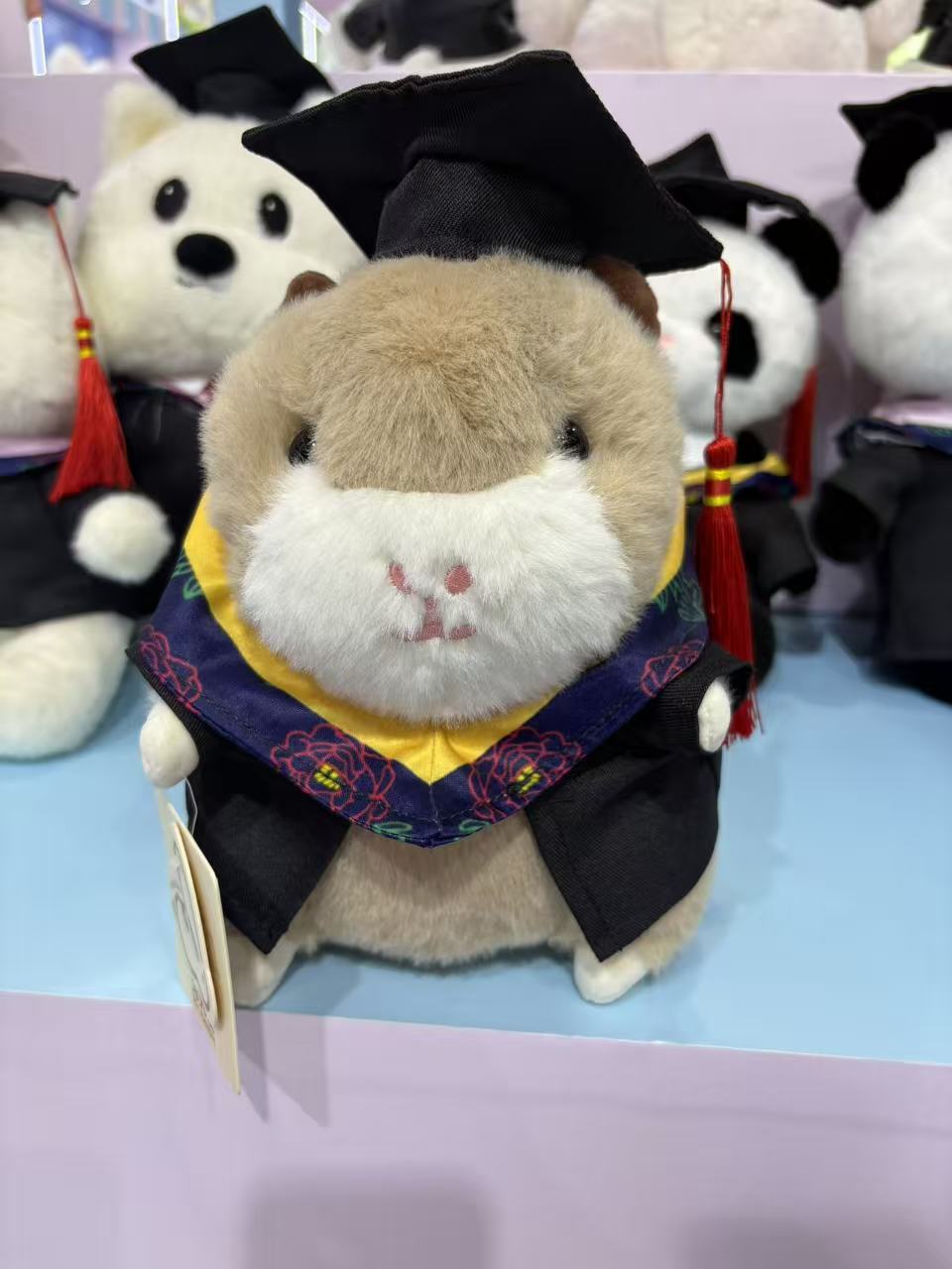 16