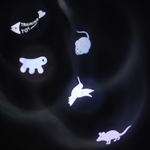 Лазерные игрушки для кошек - Product Image 6