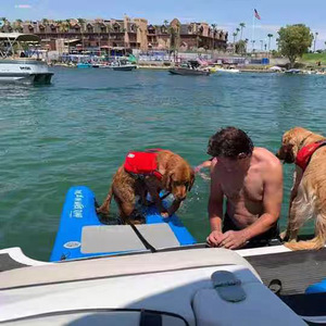 KEAYEE Inflatable Pup Plank Dog <strong>Ramp</strong> Dock Customized Size <strong>Mesh</strong> Bottom Floating Ladder Inflatable Water <strong>Ramp</strong> for Dogs - Product Image 4