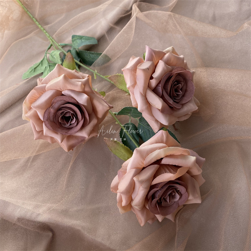 3 diamond rose shallow coffee