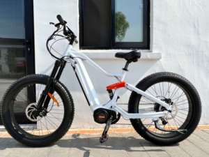 MTB Full Suspension Downhill 26inch Off Road Mid Drive Fat Bike Ebike E-Bike E Cycle Fat <strong>Tire</strong> Speed Electric Hybrid Trikes