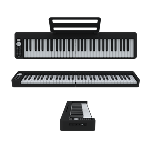 Selling BX11 61 <strong>Keys</strong> Weighted Piano <strong>Keyboard</strong> Vibrato <strong>Function</strong> Electric Digital <strong>Keyboard</strong> Piano - Product Image 5